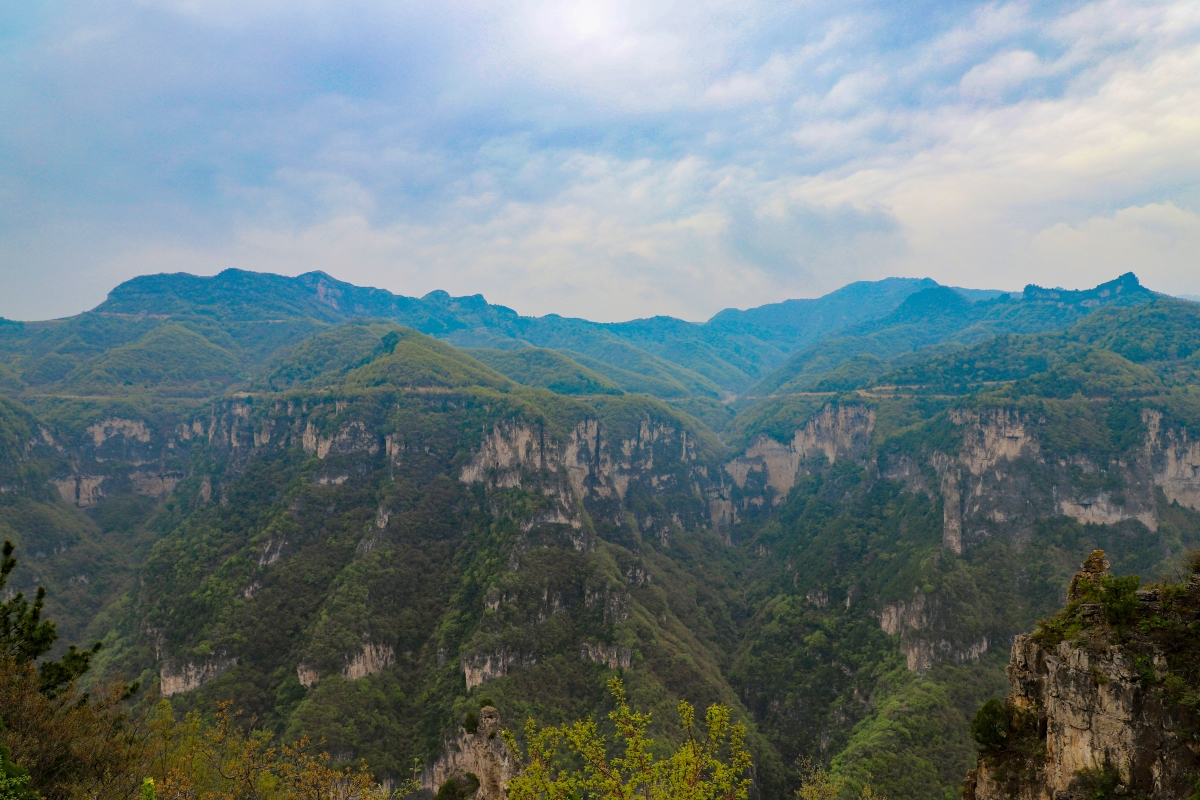 1779690035507663.jpg tuanjianzhong.jpg